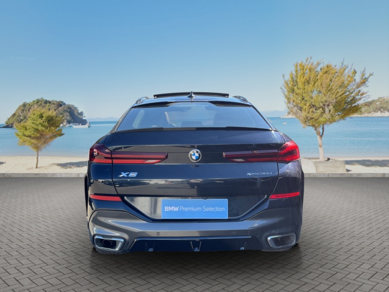 Bmw X6 Xdrive30d M Sport 2023 Usado  Usado en BMW Premium Selection