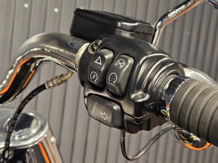 Harley-davidson Fat boy 114 2023 Usado en BMW Premium Selection Harley-davidson Fat boy 114 2023 Usado en BMW Premium Selection