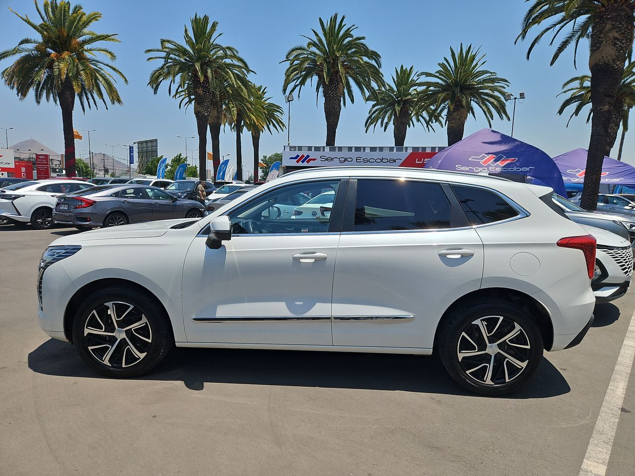 Haval Jolion Jolion Elite 1.5 2024 Usado en Usados de Primera - Sergio Escobar