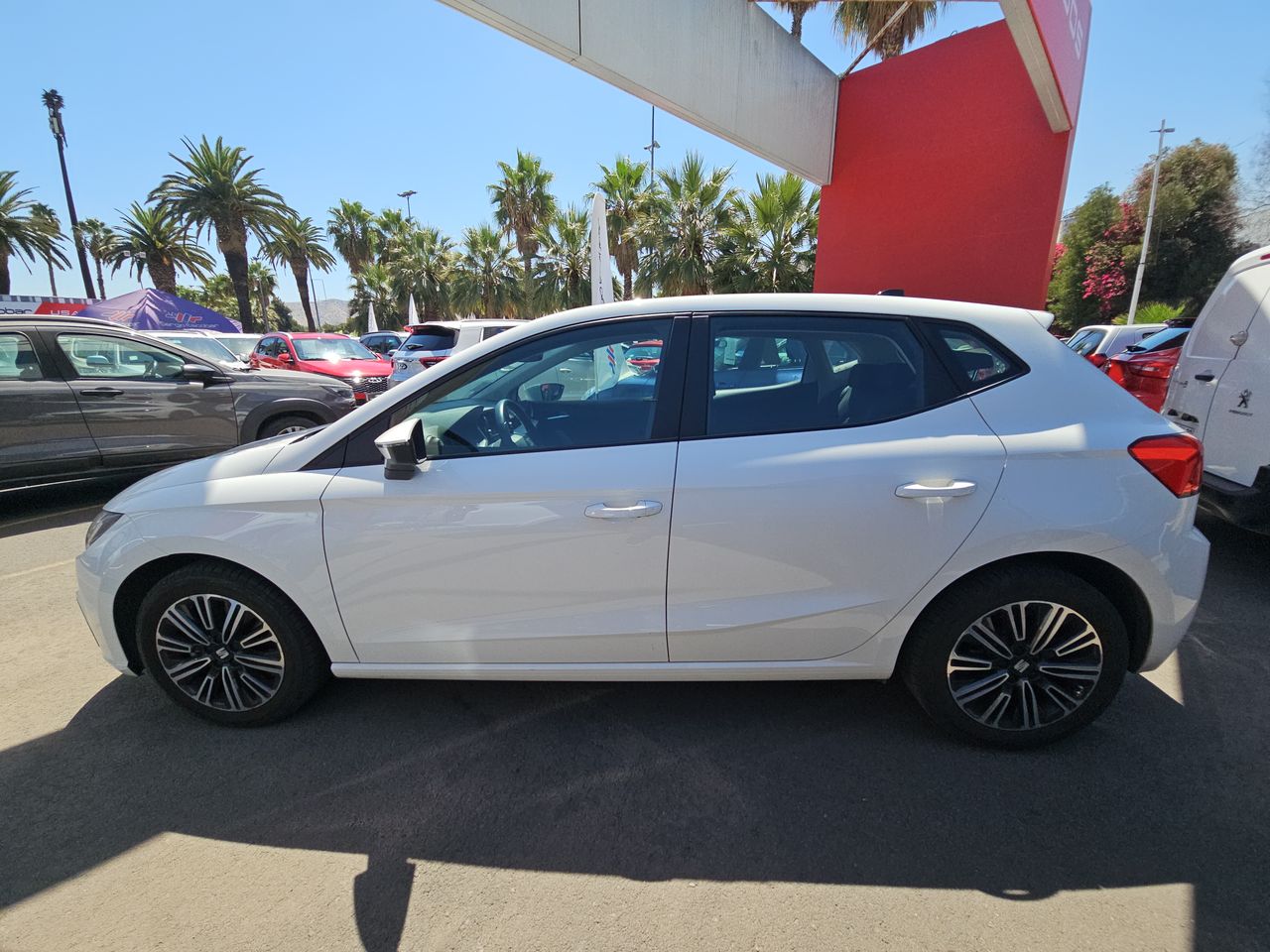 Seat Ibiza Ibiza Fl Hb 1.6 Aut 2023 Usado en Usados de Primera - Sergio Escobar