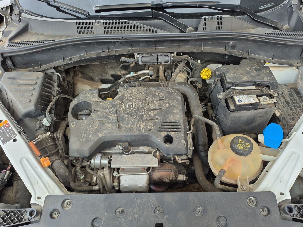 Mg Mg rx5 Rx5 1.5 2022 Usado en Usados de Primera - Sergio Escobar