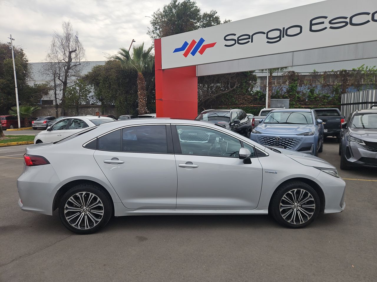 Toyota Corolla Corolla Sd Hev Cvt 1.8 Aut 2023 Usado en Usados de Primera - Sergio Escobar