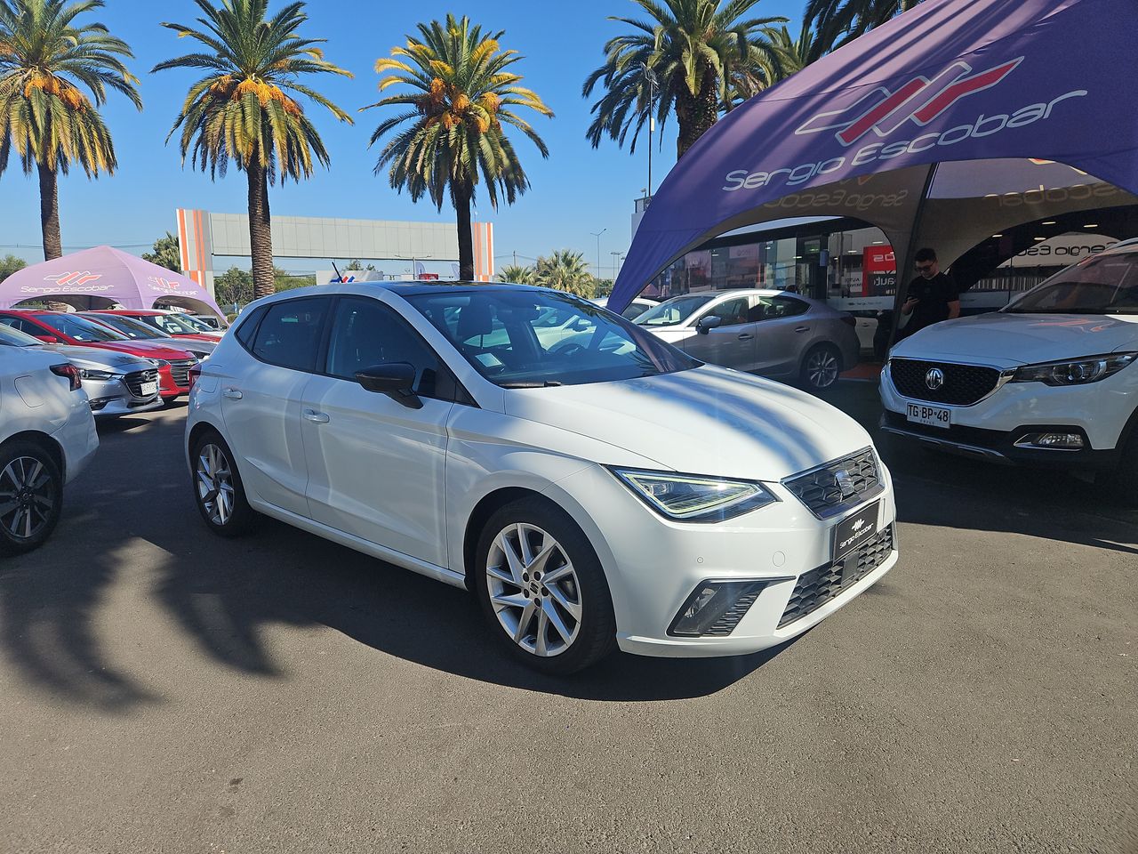 Seat Ibiza Ibiza Fl Hb 1.6 Aut 2023 Usado en Usados de Primera - Sergio Escobar