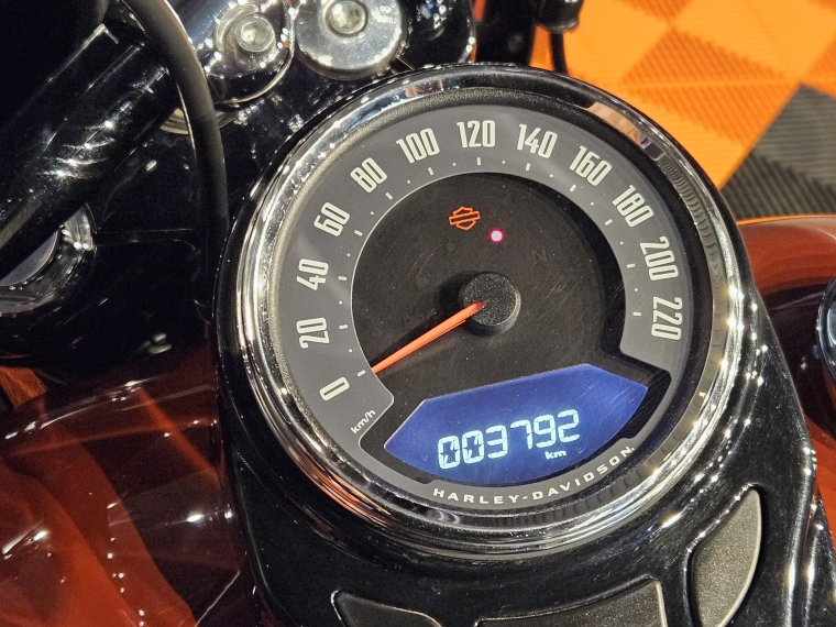 Harley-davidson Heritage classic 114 2025 Usado en BMW Premium Selection