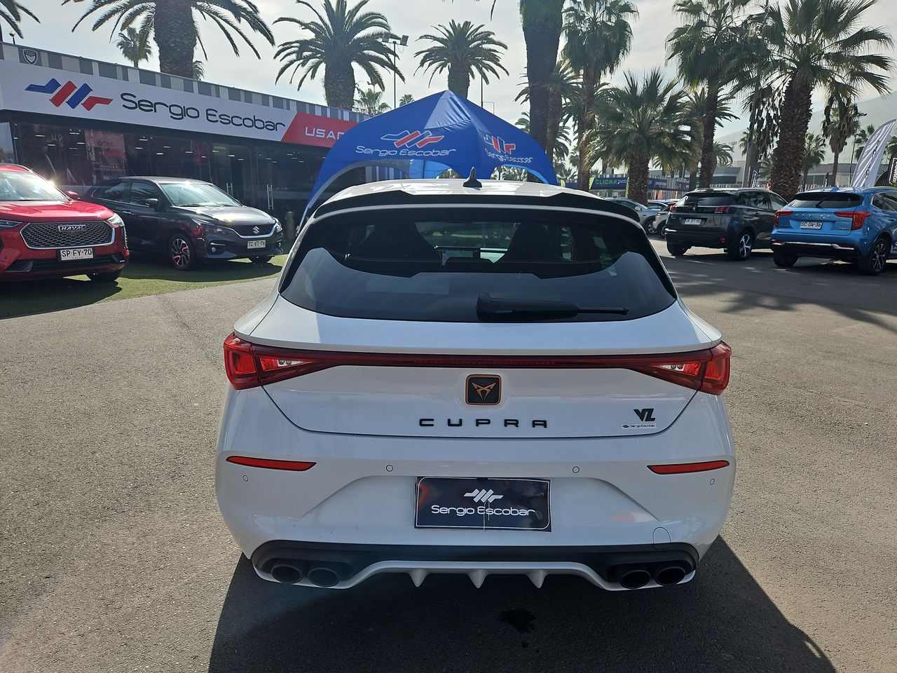 Cupra Leon Leon 2.0 Aut. 2024 Usado en Usados de Primera - Sergio Escobar