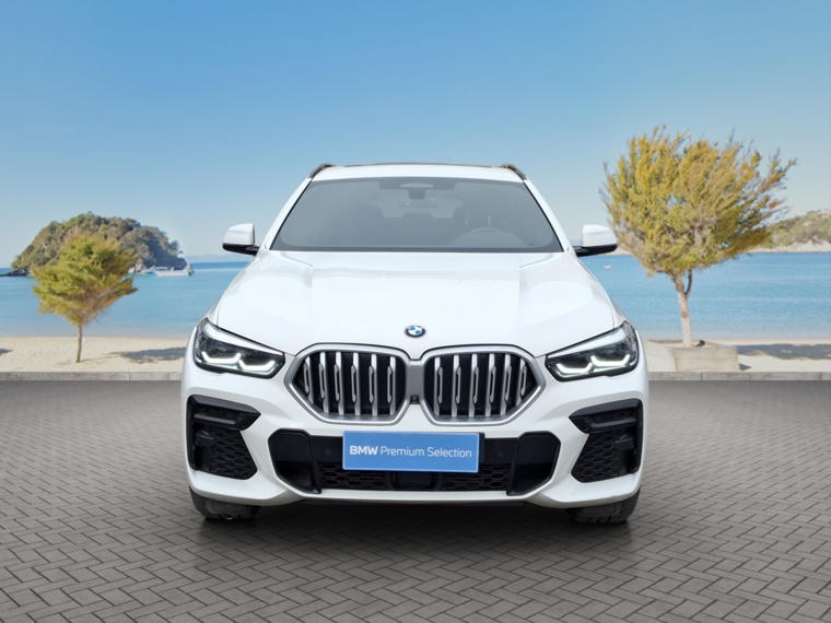 Bmw X6 Xdrive30d 4x4 5p 3.0 Aut 2023 Usado  Usado en BMW Premium Selection