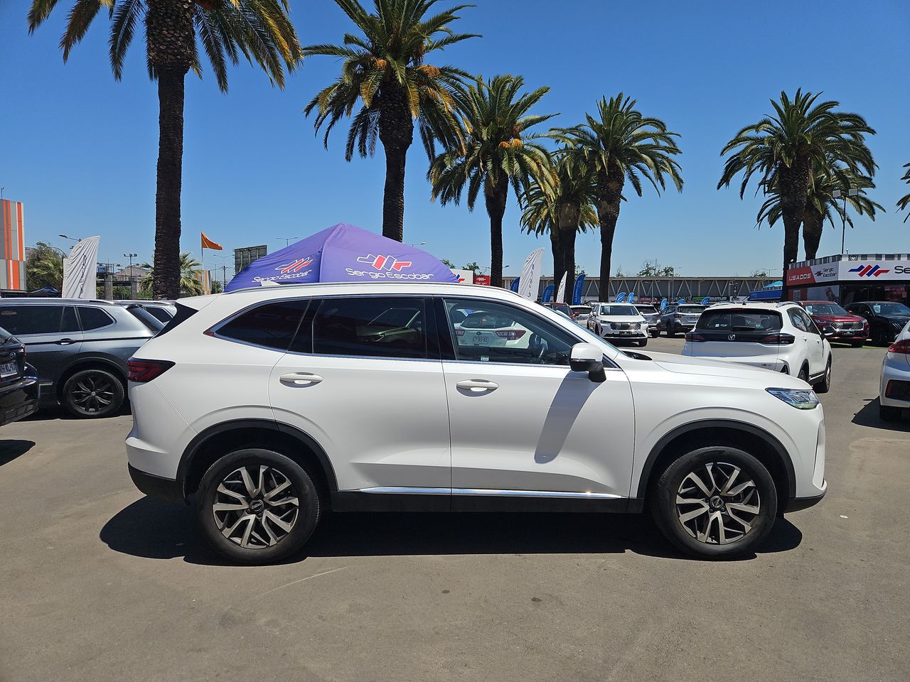 Haval H6 H6 Turbo Dct 4x2 2.0 Aut 2024 Usado en Usados de Primera - Sergio Escobar