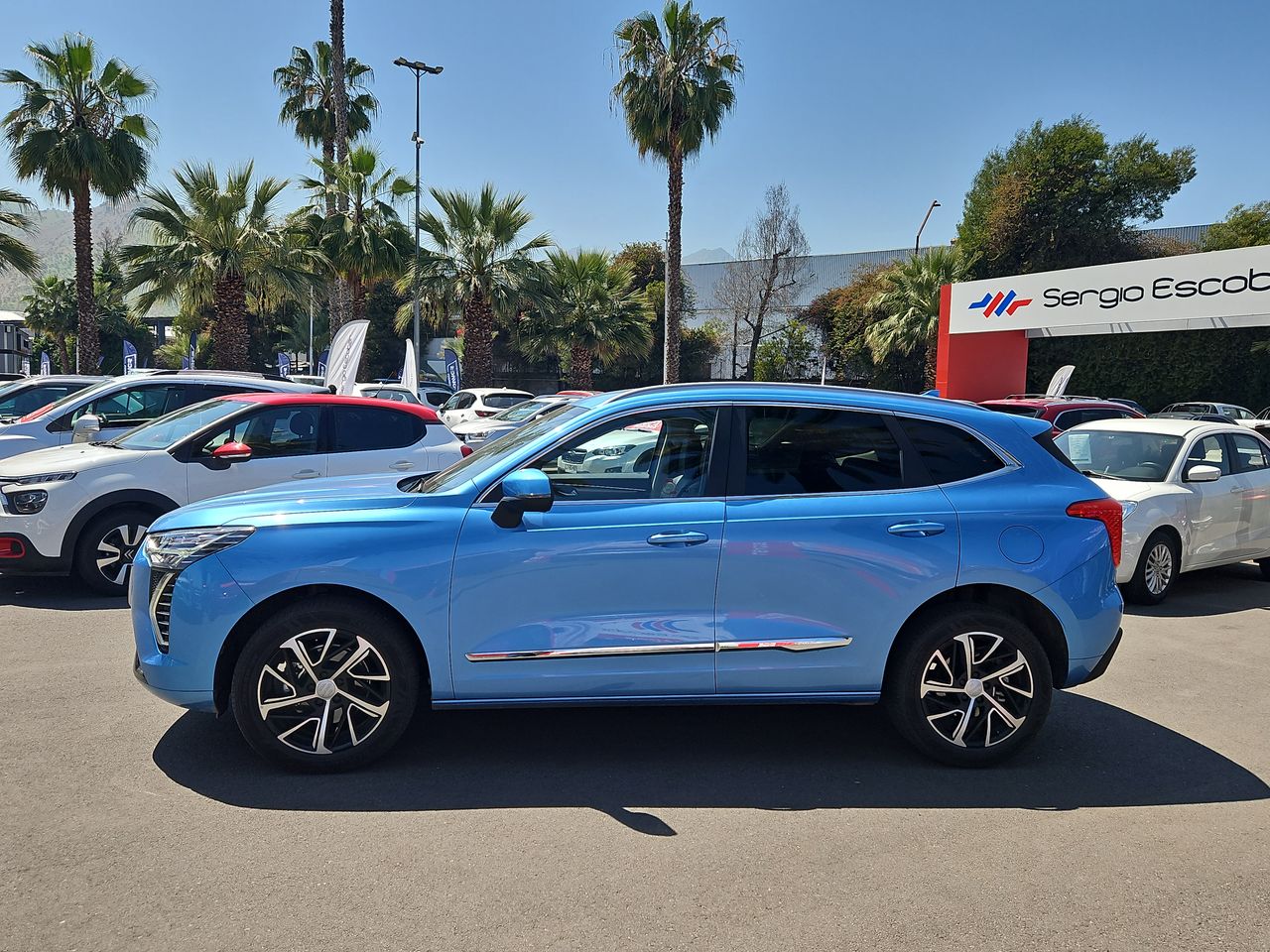 Haval Jolion Jolion Elite 1.5 2022 Usado en Usados de Primera - Sergio Escobar