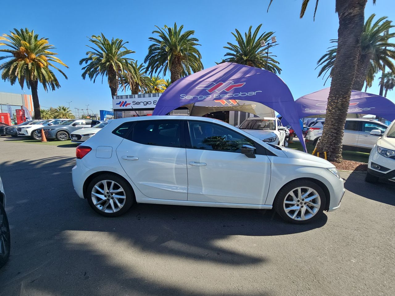Seat Ibiza Ibiza Fl Hb 1.6 Aut 2023 Usado en Usados de Primera - Sergio Escobar