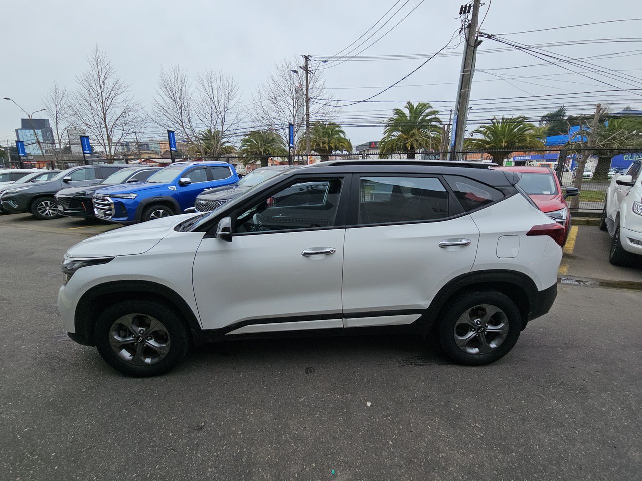 Kia Seltos Seltos Mpi 6mt 1.6 2021 Usado en Usados de Primera - Sergio Escobar
