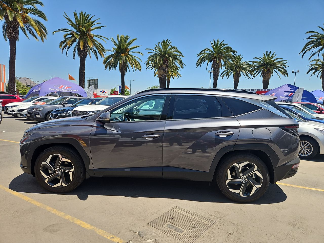 Hyundai Tucson Tucson Nx4 Gdi 4x4 1.6 Aut 2025 Usado en Usados de Primera - Sergio Escobar