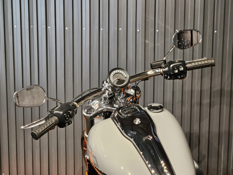 Harley-davidson Breakout . 2025 Usado en BMW Premium Selection Harley-davidson Breakout . 2025 Usado en BMW Premium Selection