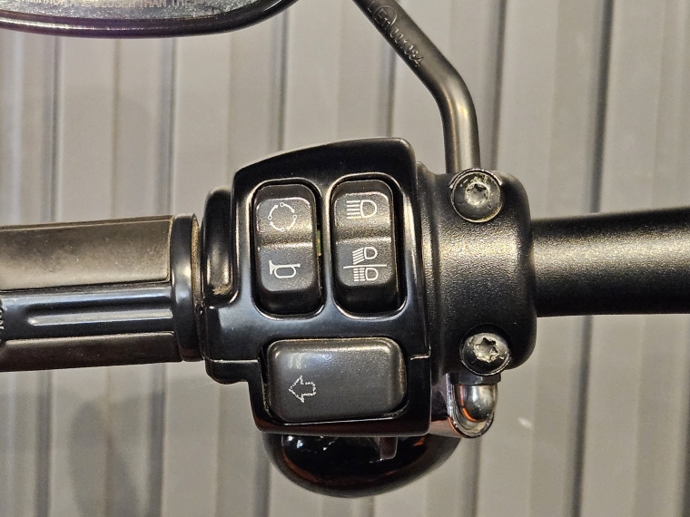 Harley-davidson Fat bob 114 2019 Usado en BMW Premium Selection