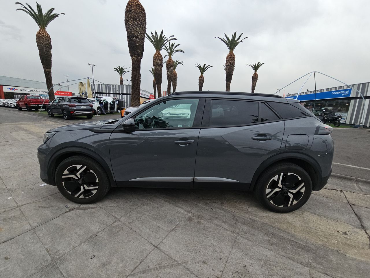 Peugeot 2008 2008 Allure 130 1.2 2024 Usado en Usados de Primera - Sergio Escobar