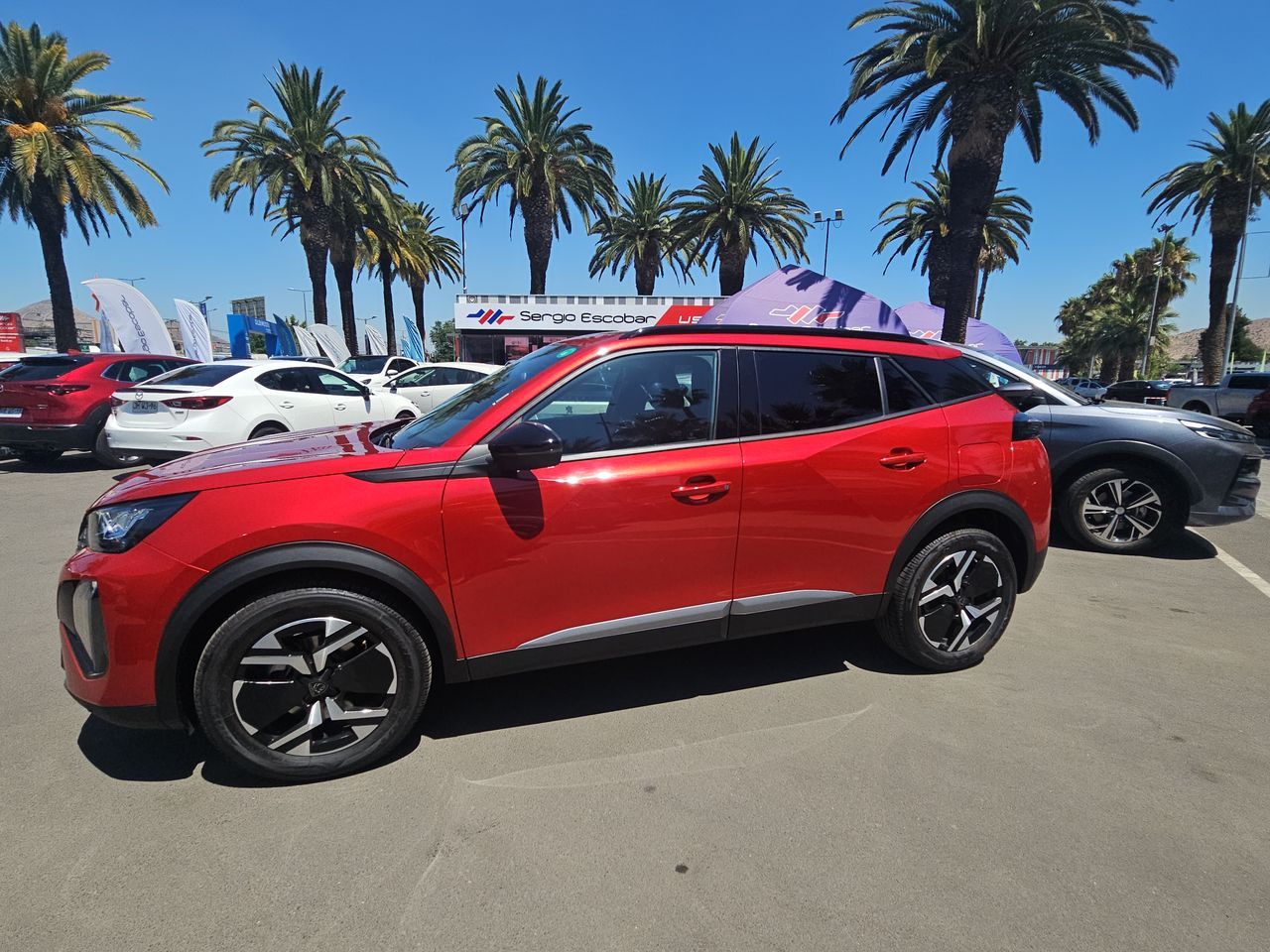 Peugeot 2008 2008 4x2 1.2 Aut 2025 Usado en Usados de Primera - Sergio Escobar