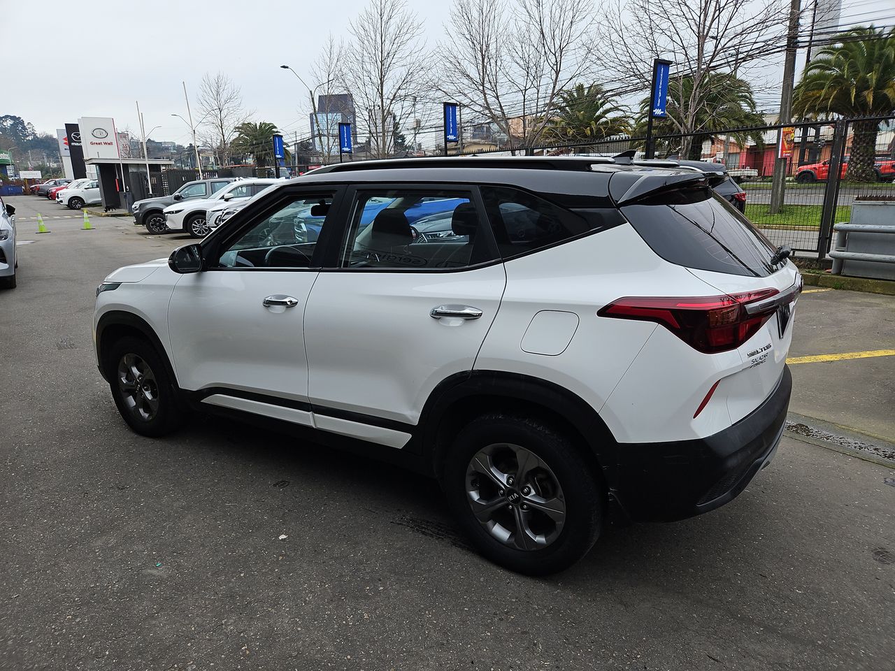 Kia Seltos Seltos Mpi 6mt 1.6 2021 Usado en Usados de Primera - Sergio Escobar