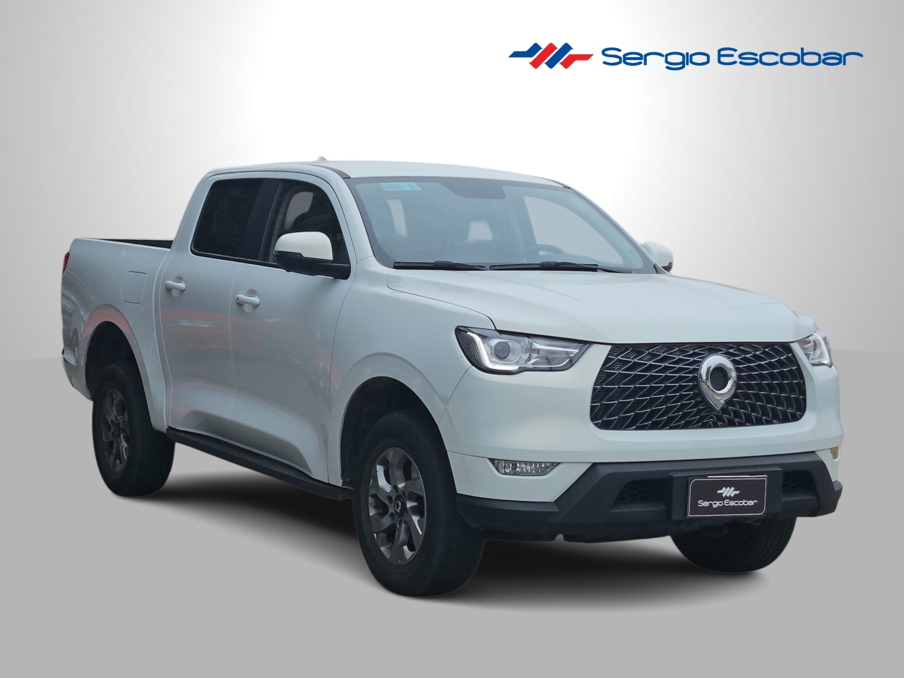 GREAT WALL POER POER 2.0 2023