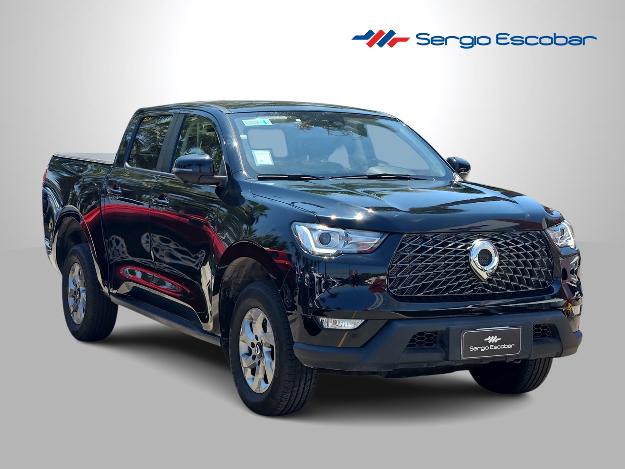 GREAT WALL POER POER DELUXE 2.0 2024