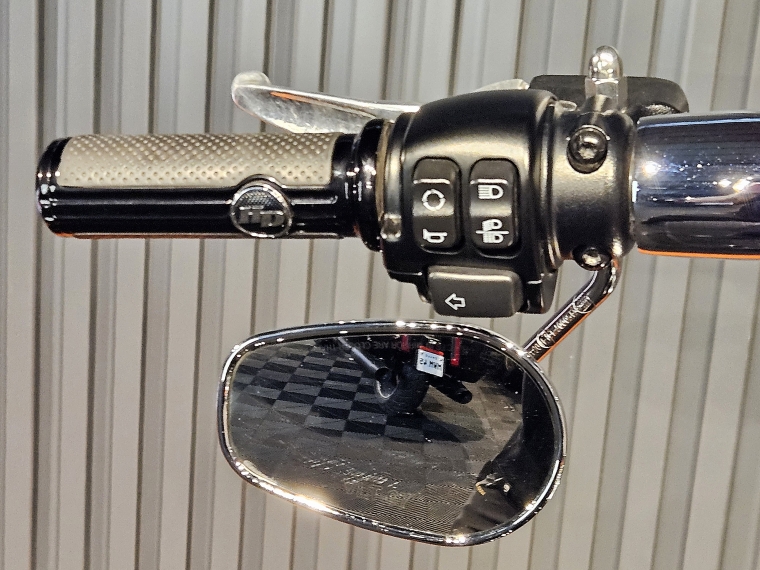 Harley-davidson Fatboy 114 2022 Usado en Harley Davidson Usados