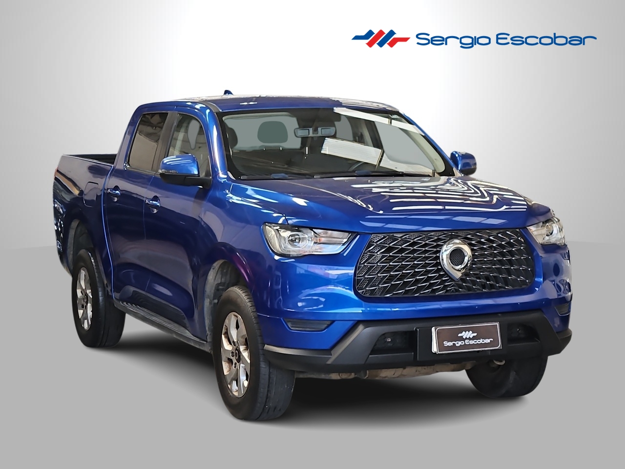 GREAT WALL POER POER 2.0 2021