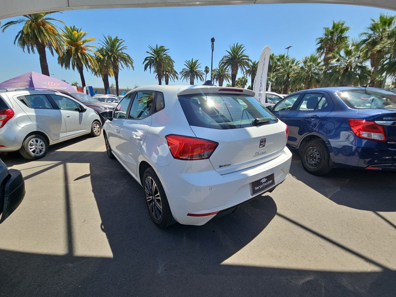 Seat Ibiza Ibiza Fl Hb 1.6 Aut 2023 Usado en Usados de Primera - Sergio Escobar