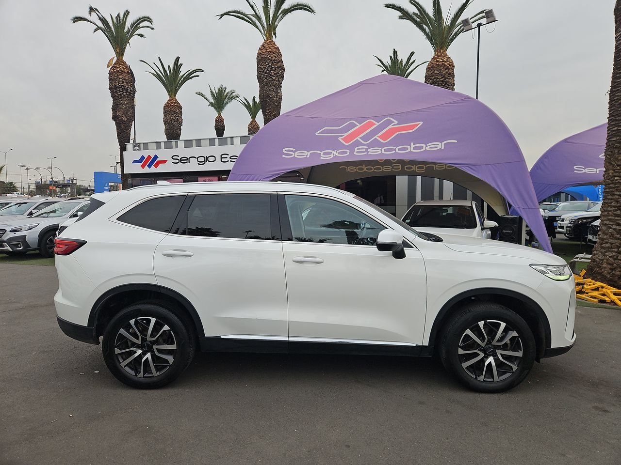 Haval H6 H6 Turbo Dct 2.0 Aut 2023 Usado en Usados de Primera - Sergio Escobar