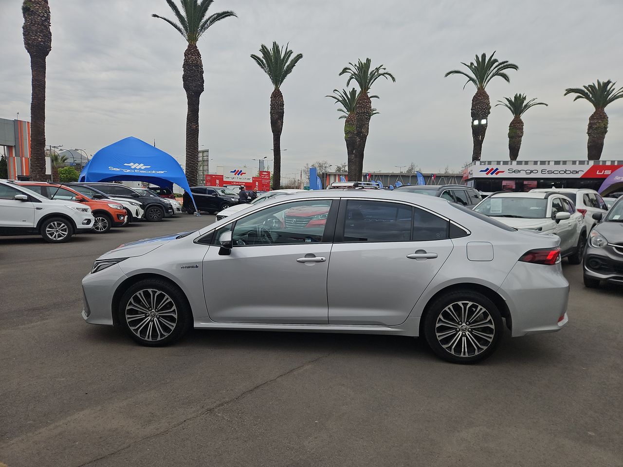 Toyota Corolla Corolla Sd Hev Cvt 1.8 Aut 2023 Usado en Usados de Primera - Sergio Escobar