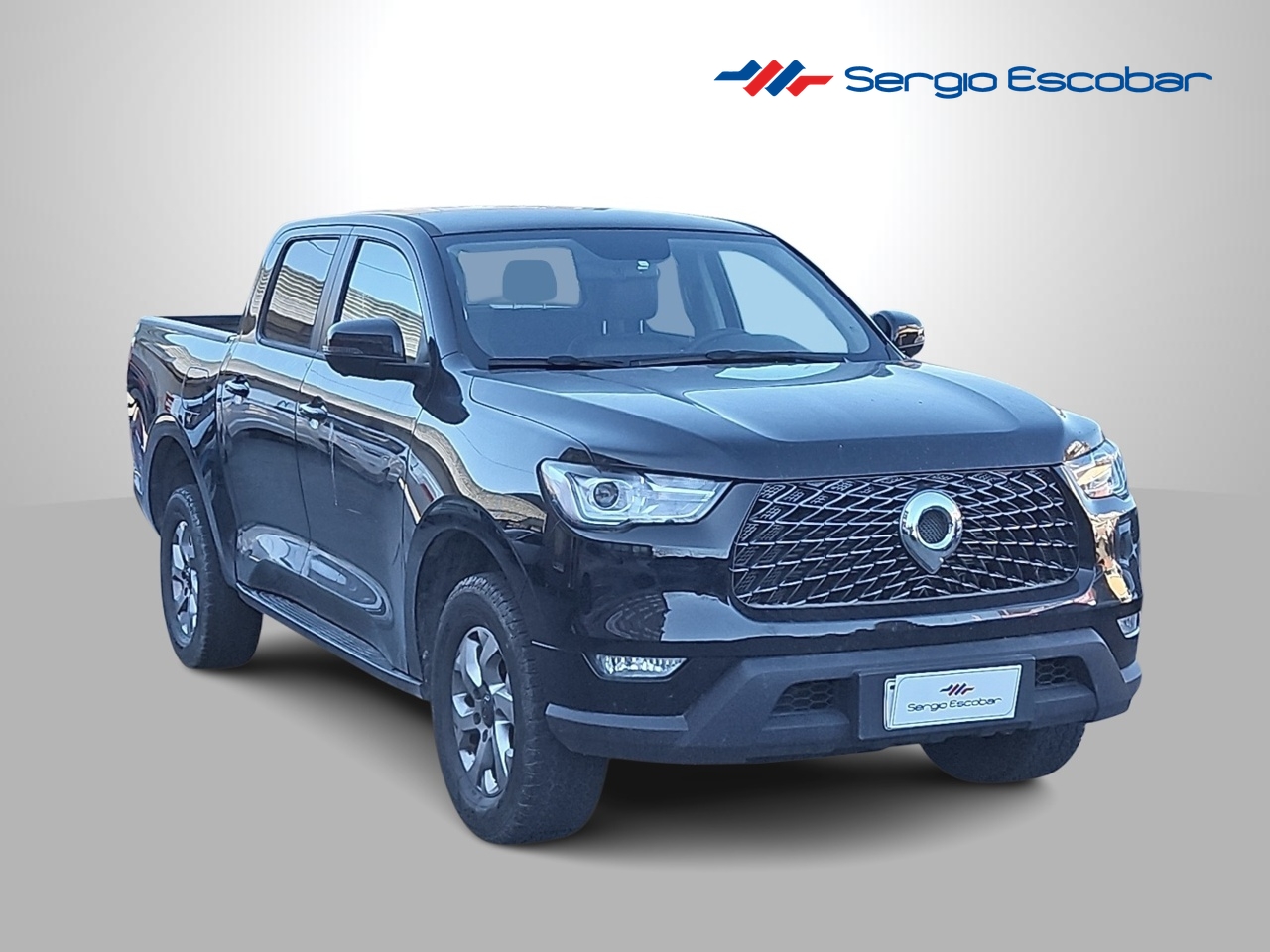 GREAT WALL POER POER 2.0 2025