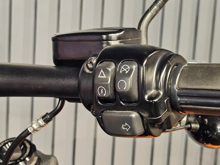 Harley-davidson Fat bob 114 2019 Usado en BMW Premium Selection