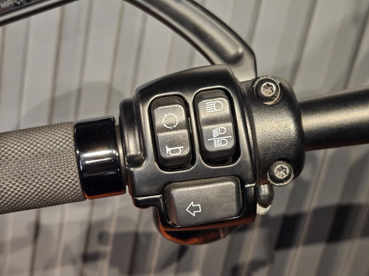 Harley-davidson Fat bob 114 2023 Usado en BMW Premium Selection Harley-davidson Fat bob 114 2023 Usado en BMW Premium Selection