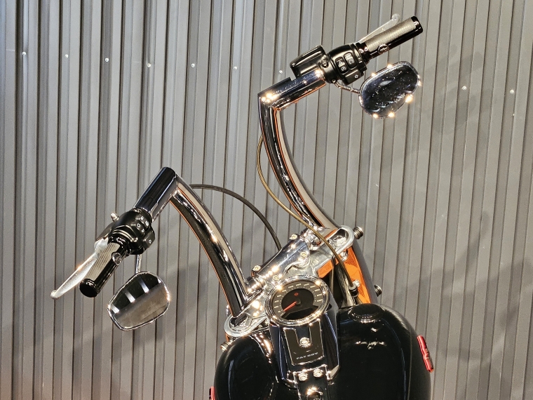 Harley-davidson Fatboy 114 2022 Usado en Harley Davidson Usados