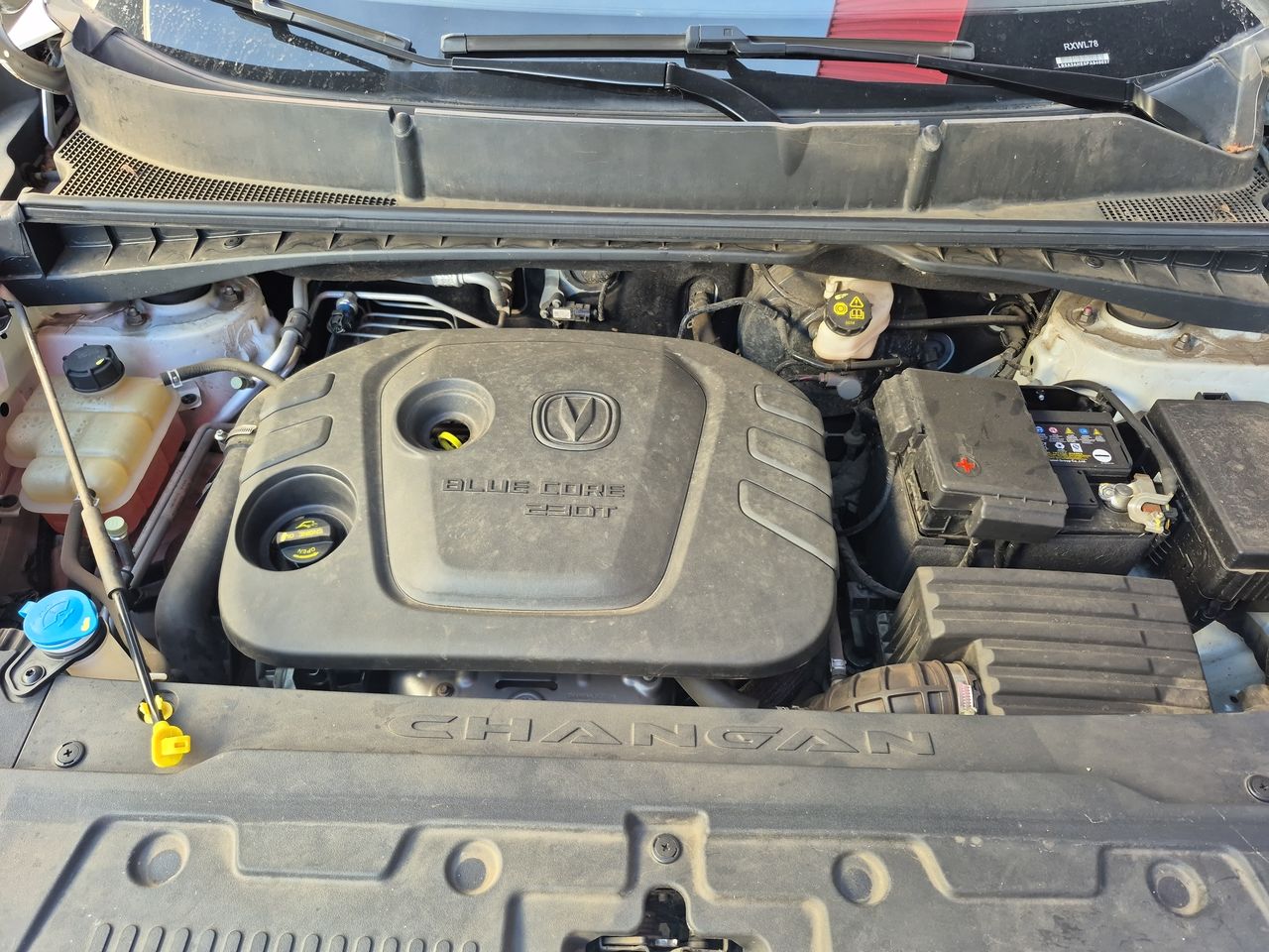 Changan Cs55 Cs55 1.5 2022 Usado en Usados de Primera - Sergio Escobar