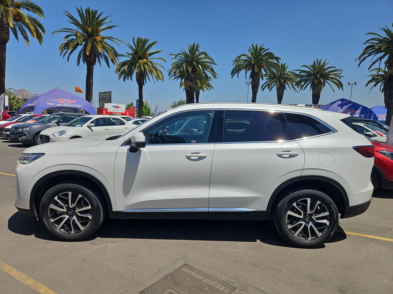 Haval H6 H6 Elite 2.0 Aut. 2023 Usado en Usados de Primera - Sergio Escobar