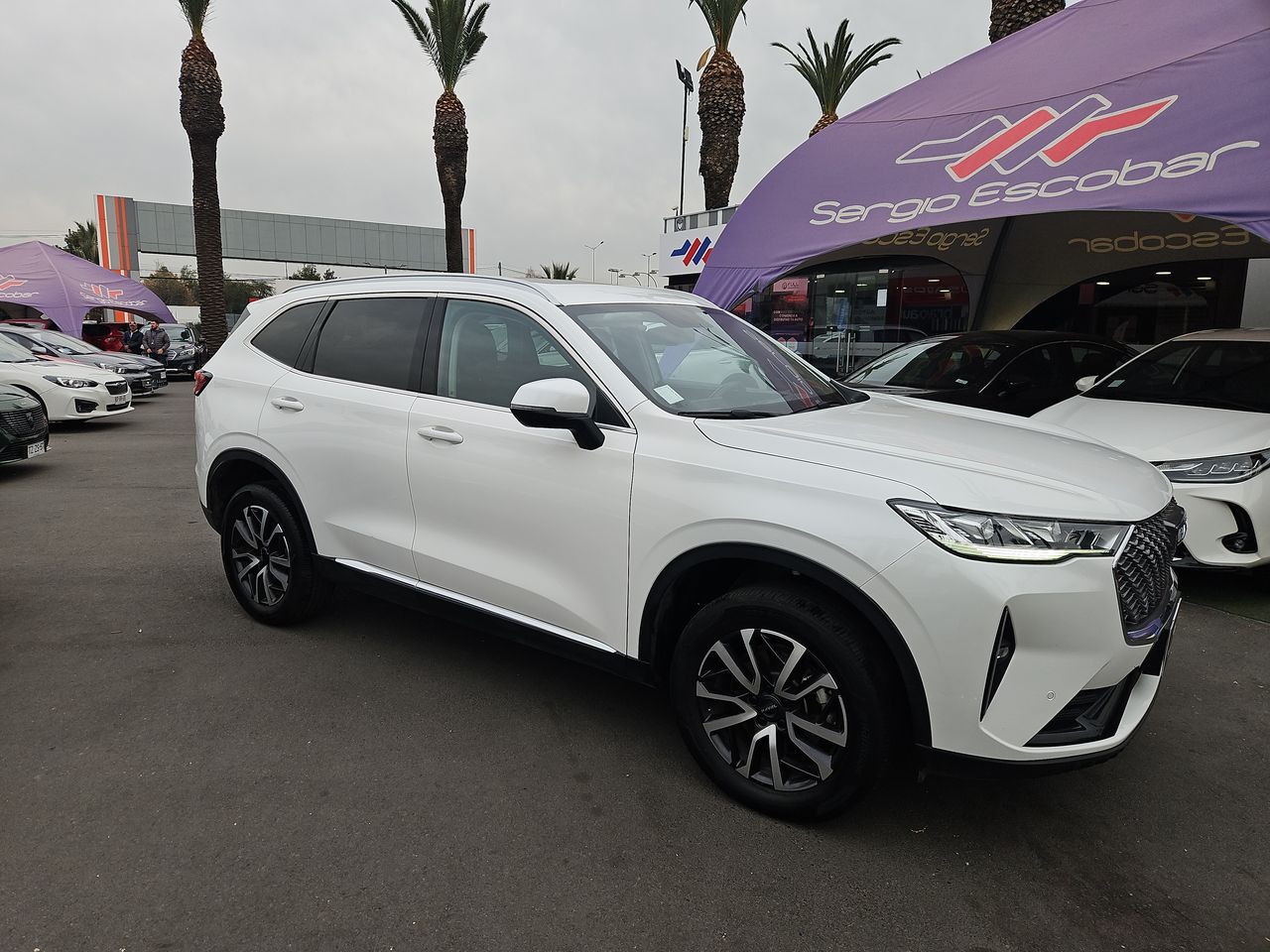 Haval H6 H6 Turbo Dct 2.0 Aut 2023 Usado en Usados de Primera - Sergio Escobar